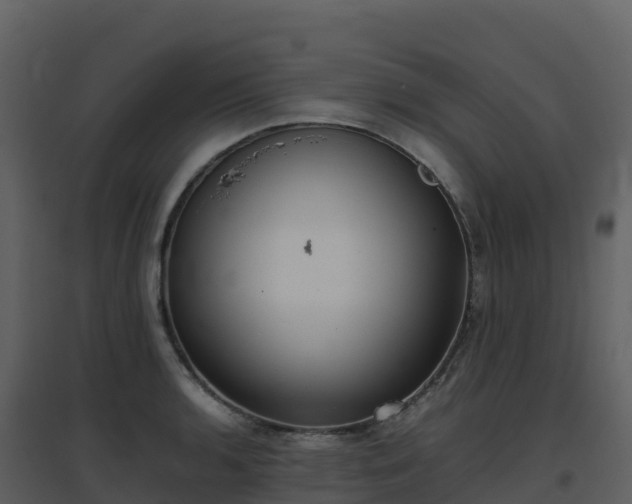 X0000096651136200802121127