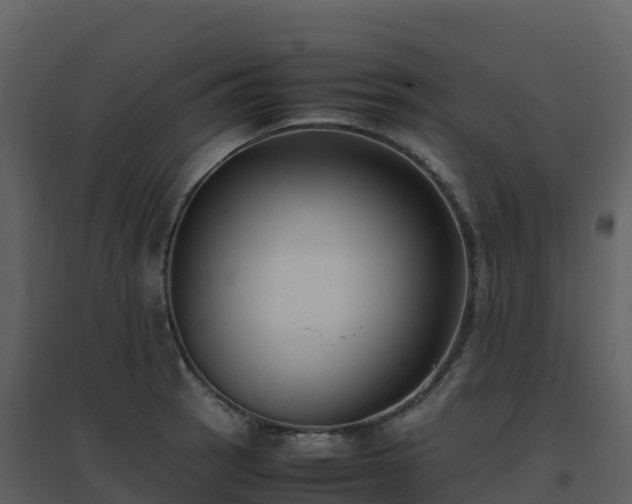 X0000096651137200802121127