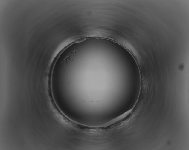 X0000096651138200802121127