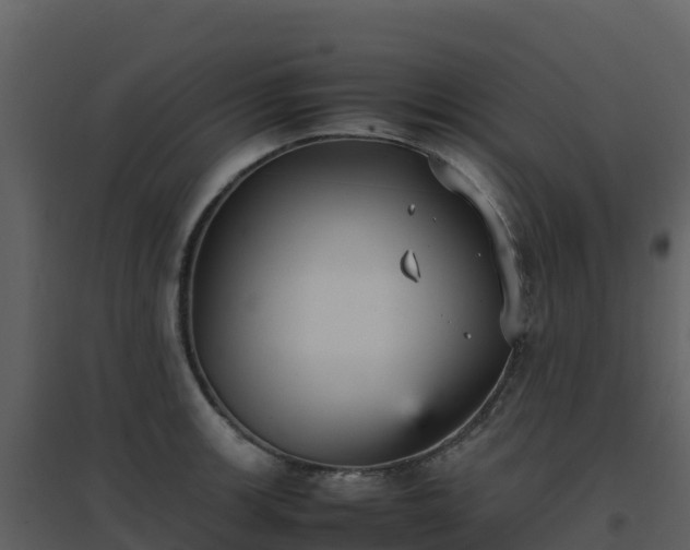X0000096651139200802121127