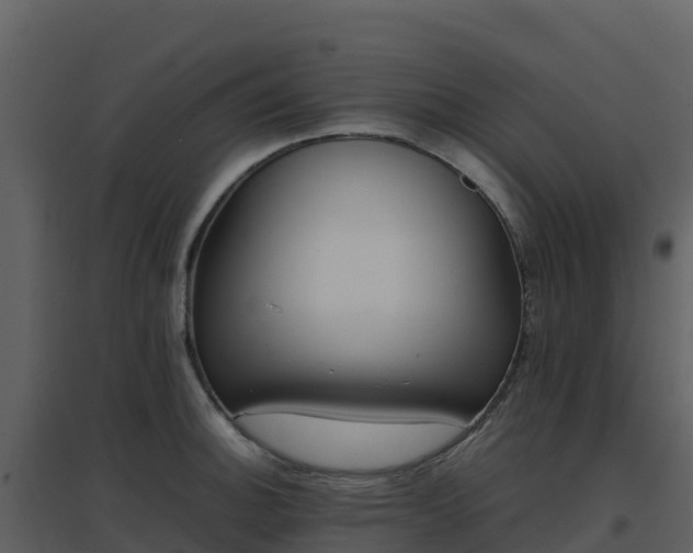 X0000096651140200802121127