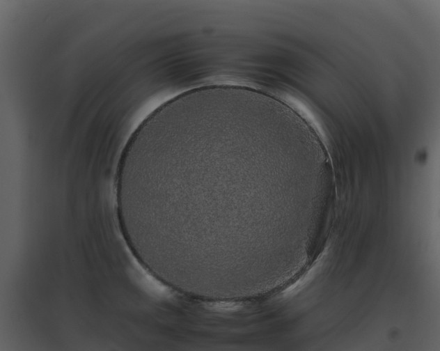 X0000096651141200802121127