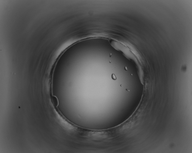 X0000096651143200802121127