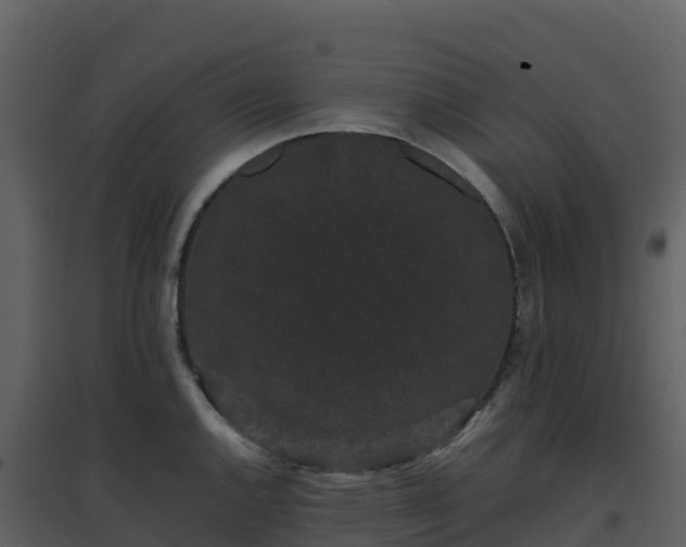 X0000096651144200802121127
