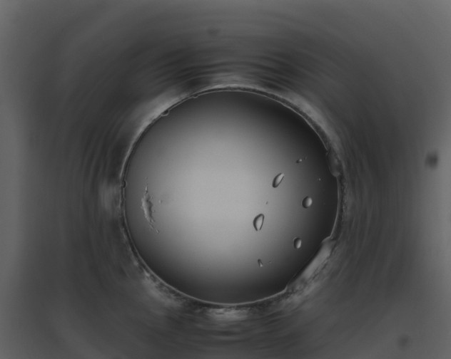 X0000096651145200802121127