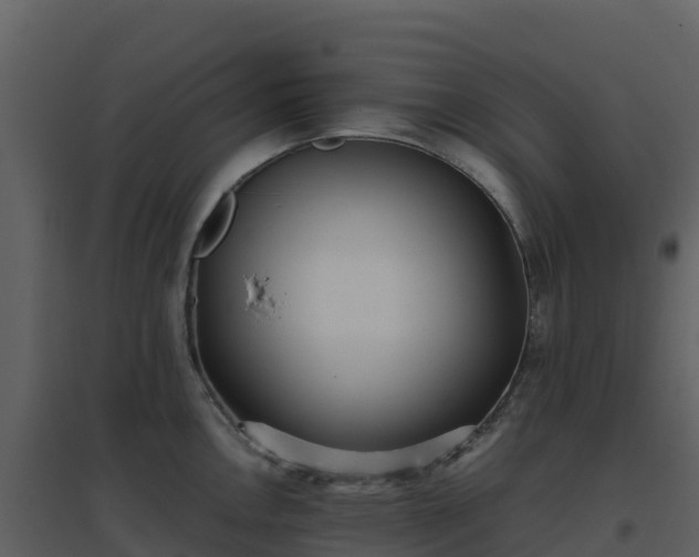 X0000096651146200802121127