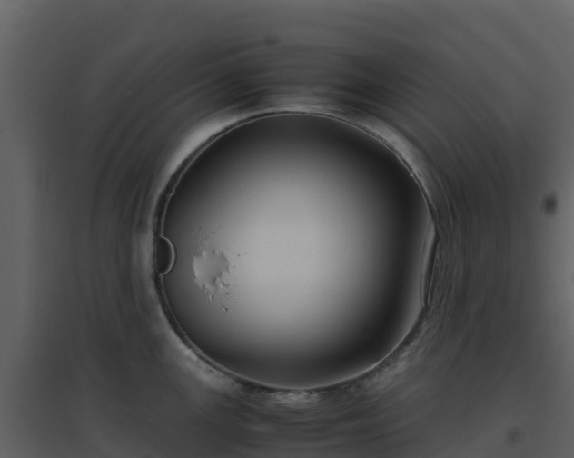 X0000096651147200802121127