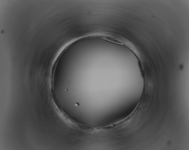 X0000096651148200802121127