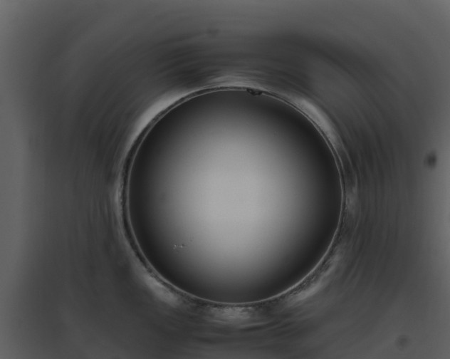 X0000096651149200802121127