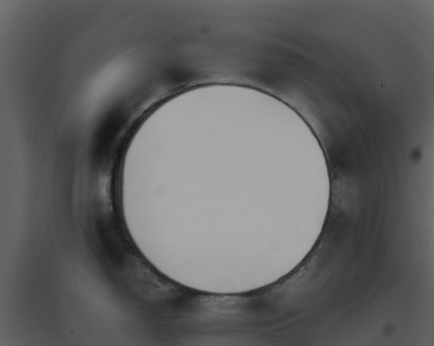 X0000096651150200802121127