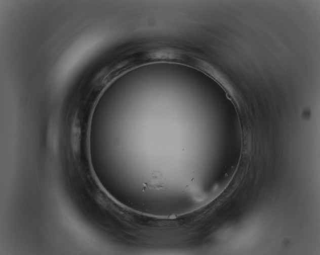 X0000096651151200802121127