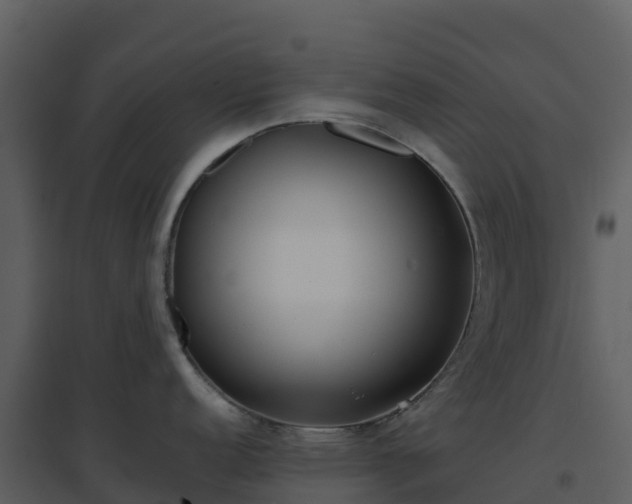 X0000096651152200802121127
