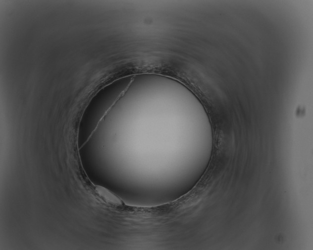 X0000096651153200802121126