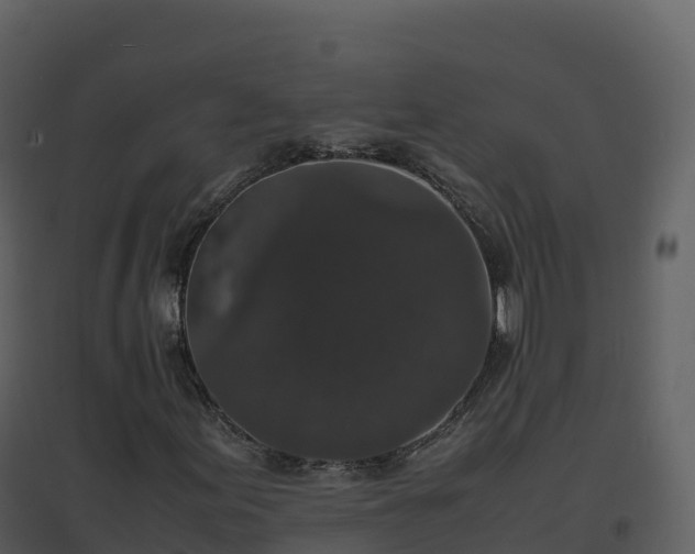 X0000096651155200802121126