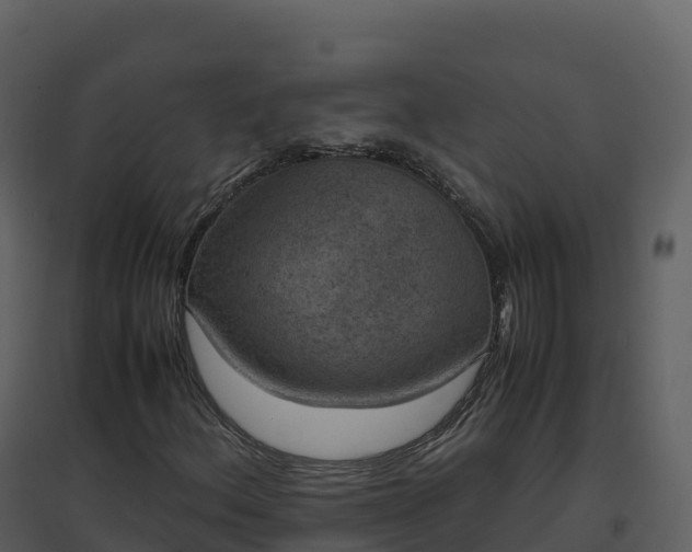 X0000096651156200802121126