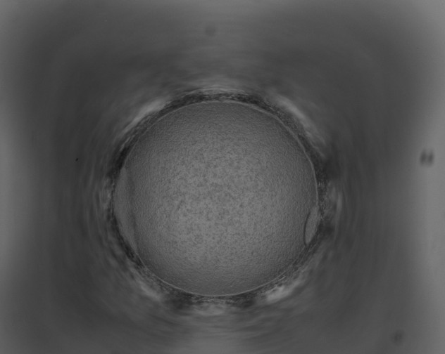 X0000096651157200802121126