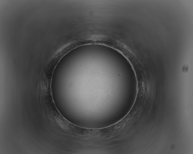 X0000096651158200802121126