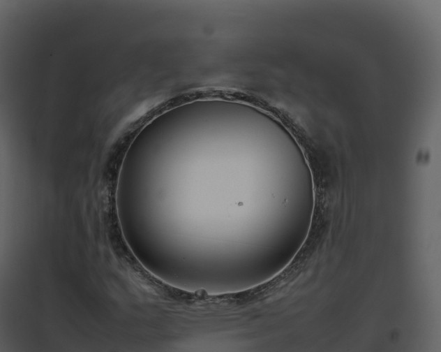 X0000096651159200802121126