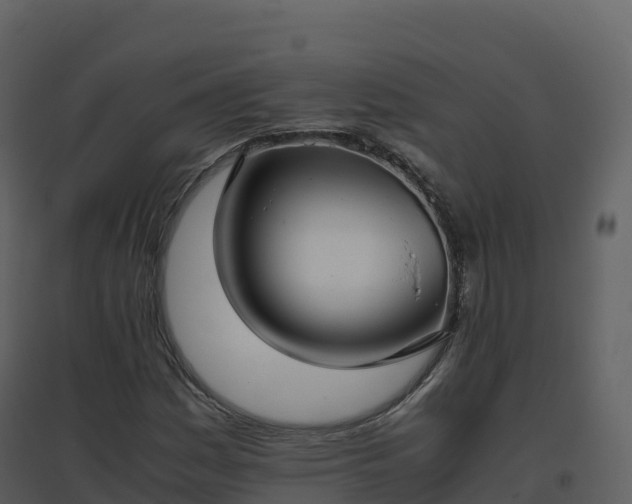 X0000096651161200802121126