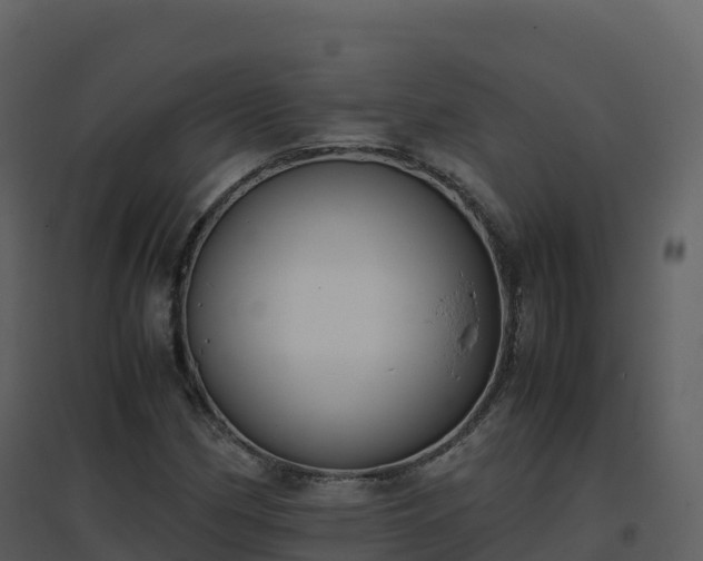 X0000096651162200802121126
