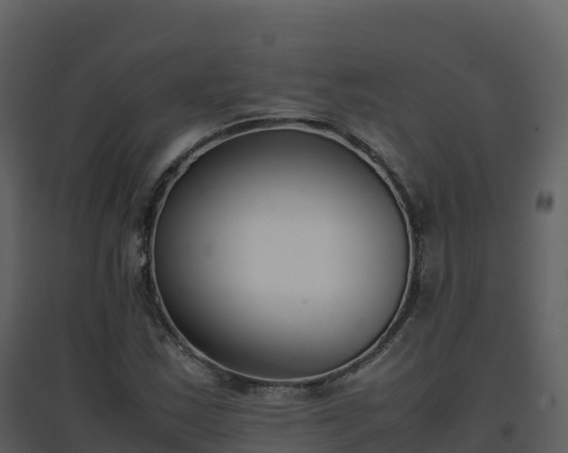 X0000096651163200802121126