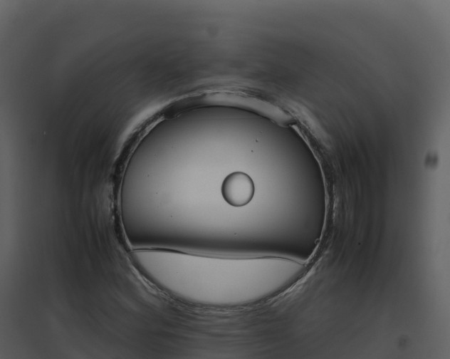 X0000096651164200802121126