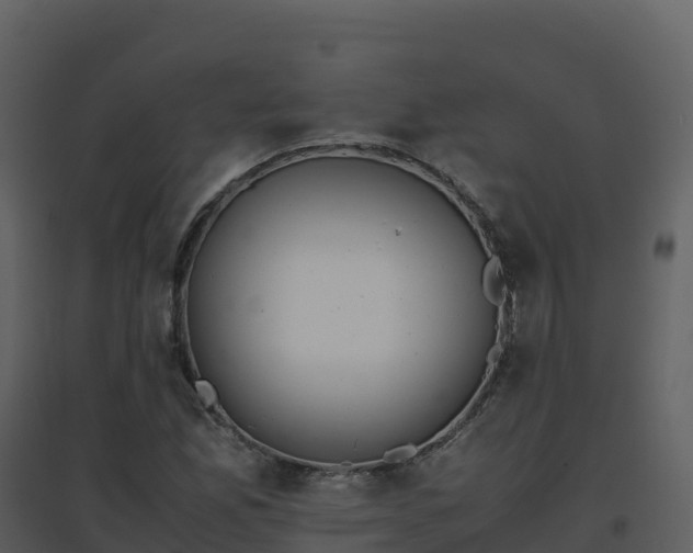 X0000096651165200802121126