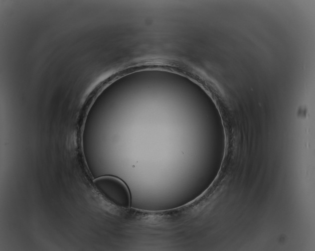 X0000096651166200802121126