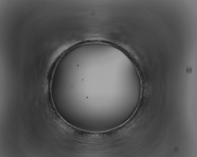 X0000096651167200802121126
