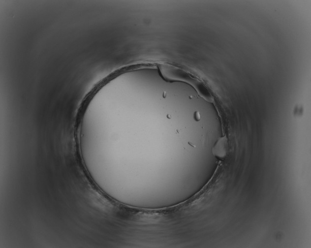 X0000096651168200802121126