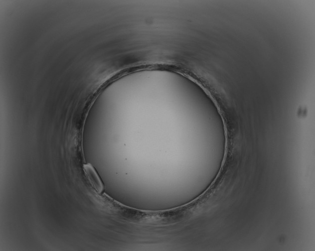 X0000096651169200802121126