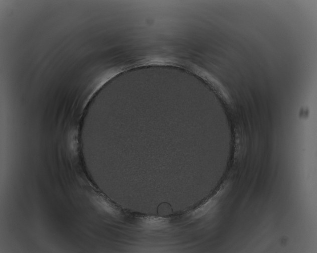 X0000096651170200802121126