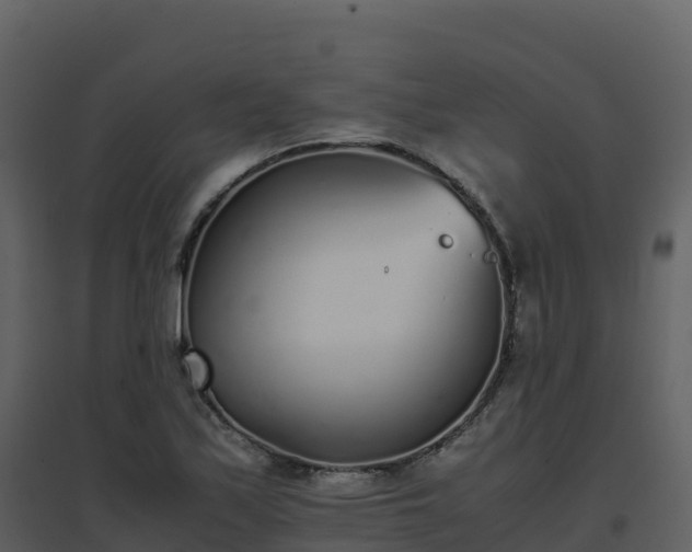 X0000096651171200802121126