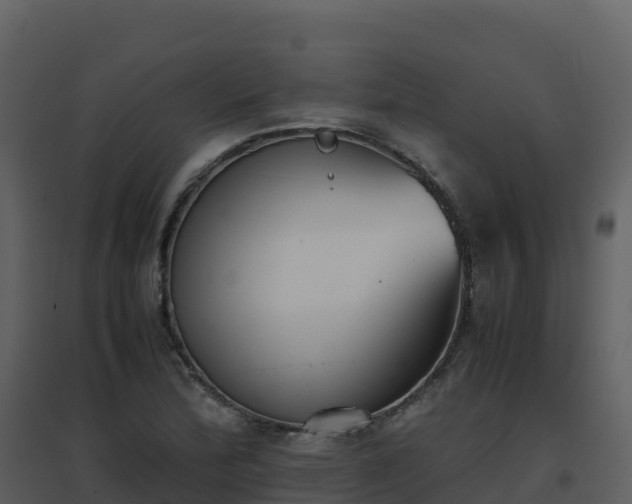 X0000096651172200802121126