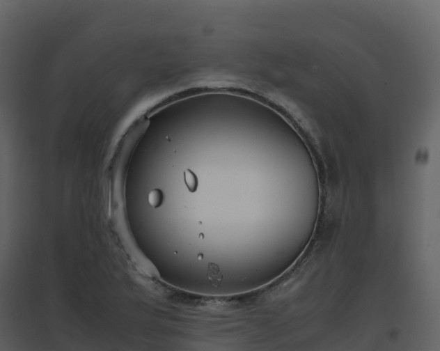 X0000096651175200802121126