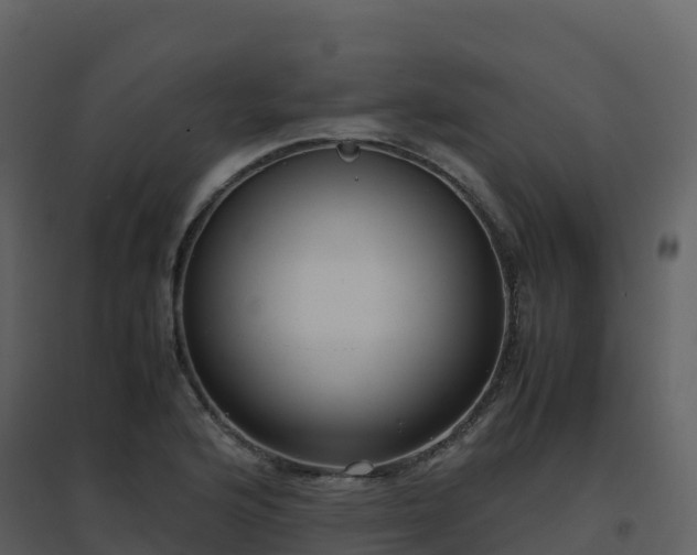 X0000096651176200802121126