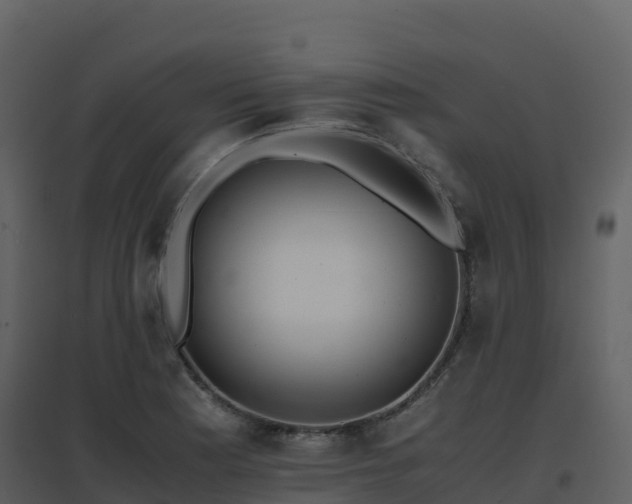 X0000096651177200802121126
