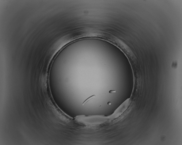 X0000096651178200802121126