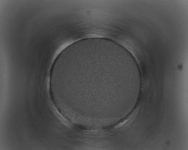 X0000096651179200802121126