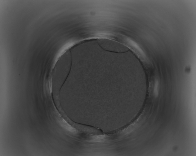 X0000096651180200802121126