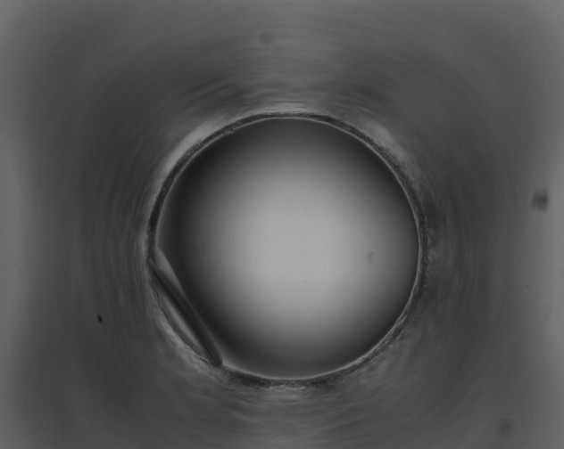X0000096651181200802121126