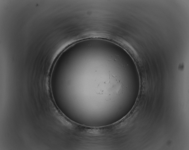 X0000096651182200802121126