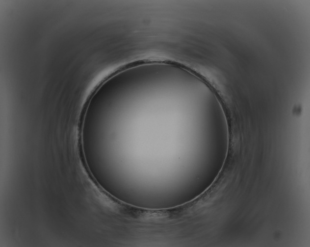 X0000096651183200802121126