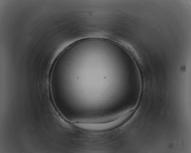 X0000096651184200802121125