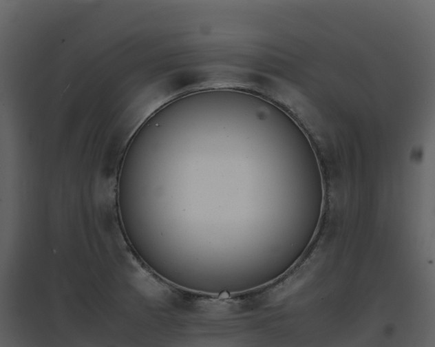 X0000096651185200802121125