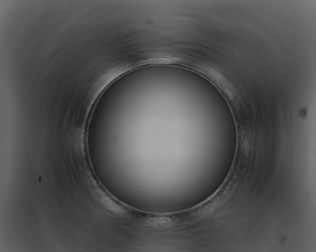 X0000096651186200802121125