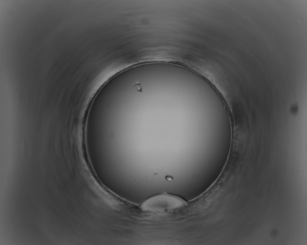 X0000096651187200802121125