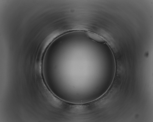 X0000096651188200802121125