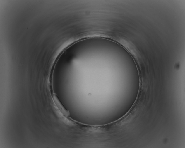 X0000096651189200802121125