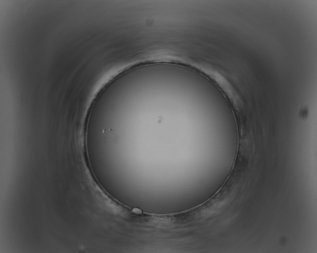 X0000096651191200802121125